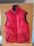 Bodywarmer, Kleding | Dames, Bodywarmers, Ophalen of Verzenden, Gedragen, Rood, ANDERE