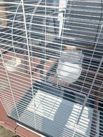 Vogelkooi / papegaaienkooi, Dieren en Toebehoren, Ophalen, Vogelkooi