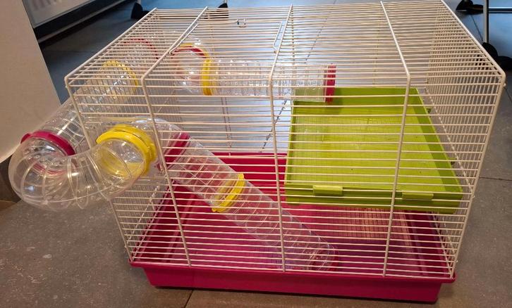 Hamster nain: Cage 2 étages tubes externes + accessoires, Animaux & Accessoires, Rongeurs & Lapins | Cages & Clapiers, Utilisé