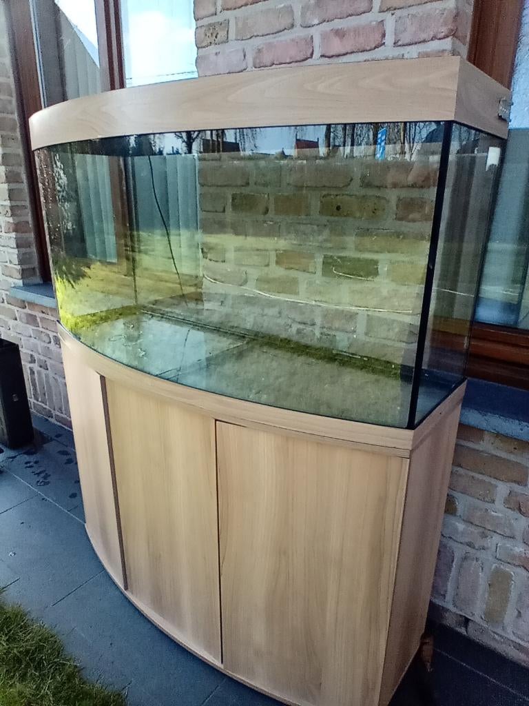 Juwel 260L   (aquarium), Animaux & Accessoires, Enlèvement, Chauffage, Juwel