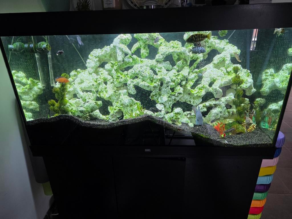 Juwel rio 350, Ophalen, Filter, Juwel