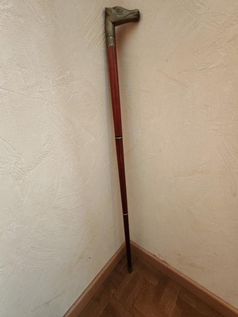 Bâton de marche, Divers, Bâtons de marche