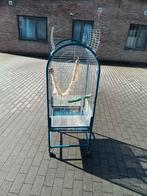 Grote papegaai kooi, Dieren en Toebehoren, Ophalen, Gebruikt, Vogelkooi