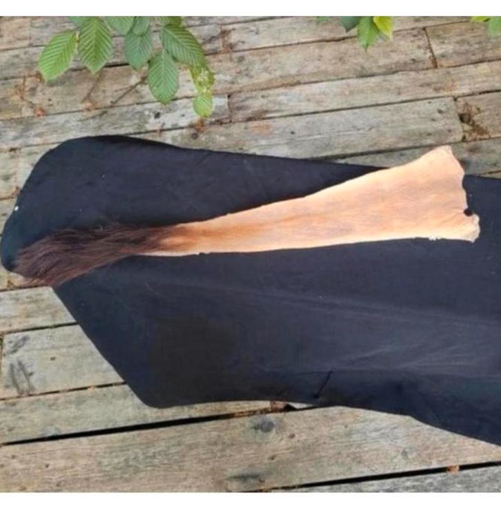 Queue d'antilope de sable - Antilope sabre de taxidermie, Collections, Collections Animaux, Comme neuf, Enlèvement ou Envoi