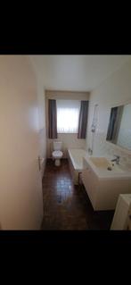 Gratis badkamer, Ophalen, Gebruikt, Met bad