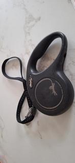 Flexi leiband kleine hond, Dieren en Toebehoren, Ophalen