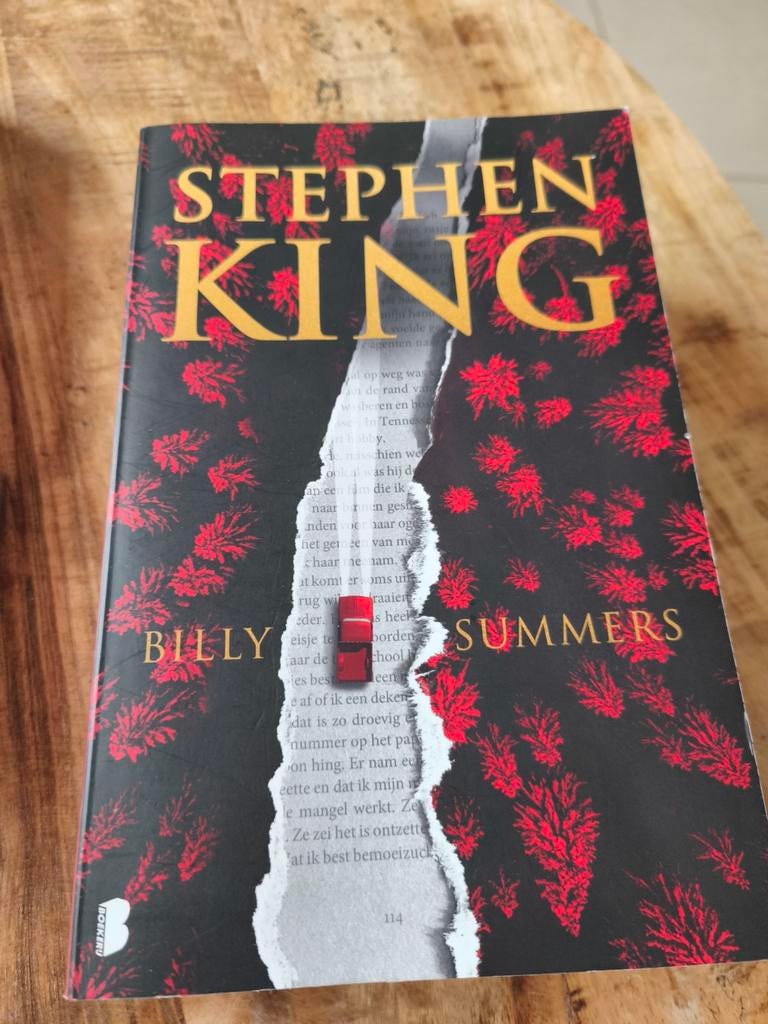 Stephen King - Billy Summers - Nederlands, Boeken, Chicklit, Ophalen