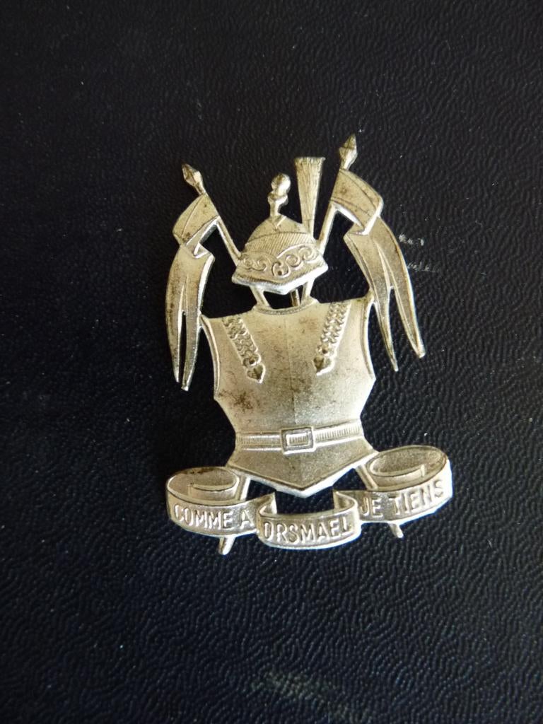 INSIGNE MILITAIRE, Collections, Envoi, Utilisé, Autres sujets/thèmes, Insigne ou Pin's