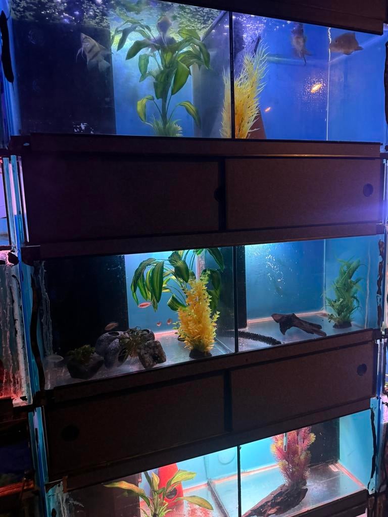 Aquarium stelling 100 x 40 cm, Dieren en Toebehoren, Vissen | Aquaria en Toebehoren, Zo goed als nieuw, Ophalen