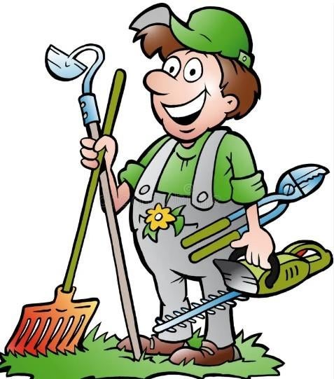 Tuinman gevraagd regio Heusden-Zolder, Tuinonderhoud of Snoeiwerk