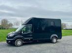 Paardencamionette Ford Transit automaat, Animaux & Accessoires, Chevaux