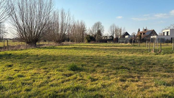 Weide te huur in Drongen, Animaux & Accessoires, Box & Pâturages, Pâturage, 1 cheval ou poney