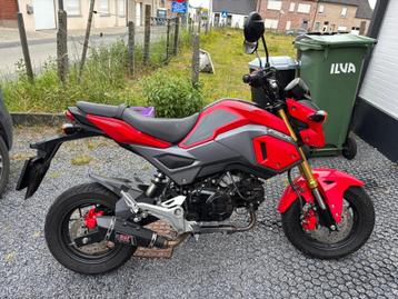 Honda MSX 125/Grom, Motoren, Particulier, 125 cc, 11 kW of minder, 1 cilinder