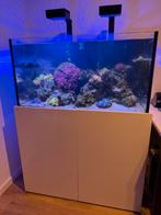 Aquaja 400 diamond reef aquarium met levende have., Dieren en Toebehoren, Ophalen, Gebruikt, Gevuld zeewateraquarium