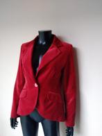 Rood fluwelen blazer, Kleding | Dames, Jasjes, Kostuums en Pakken, H&M, Verzenden, Jasje, Maat 36 (S)
