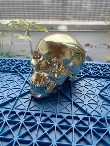 Doodskop (fake goud/gold) spaarpot / money-box beschikbaar voor biedingen