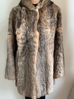 Cat Lynx fur coat ( bontjas), Kleding | Dames, Jassen | Winter, Gedragen, Maat 38/40 (M), Ophalen of Verzenden, Overige kleuren