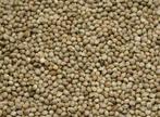 Graine de chanvre 1kg - Graines individuelles - Boutique et, Enlèvement