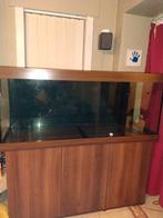 Juwel aquarium 450 met bijhorend meubel, Ophalen