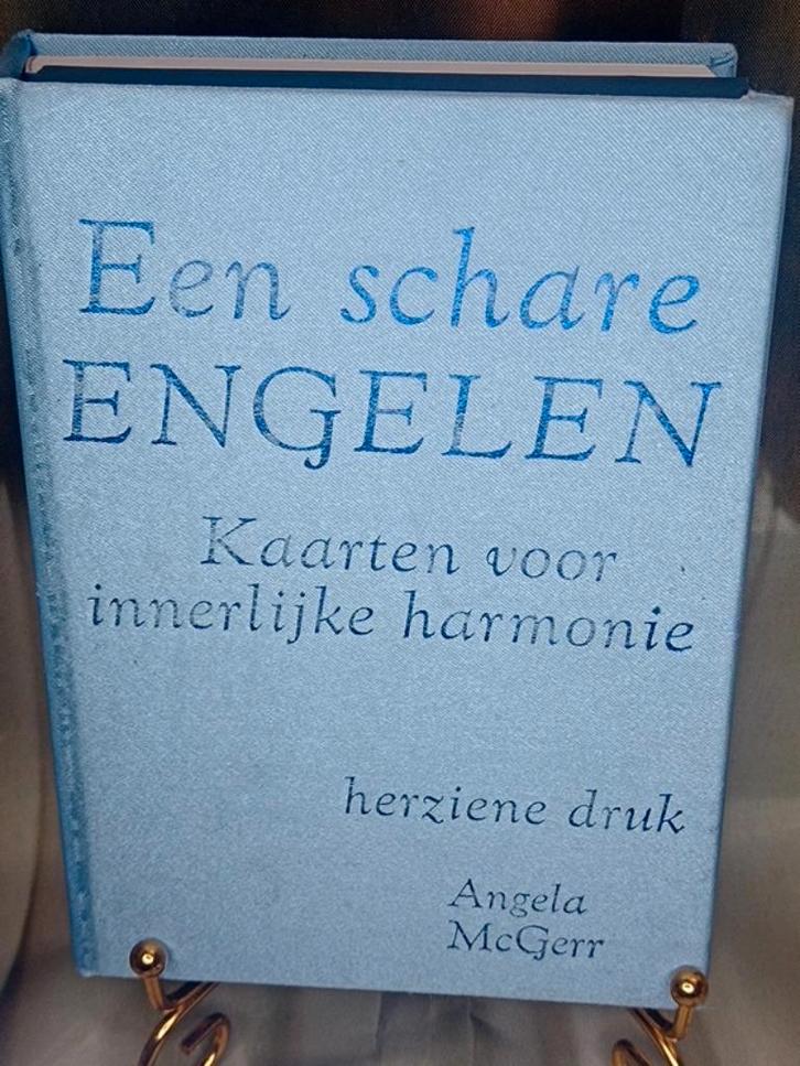 Een schare engelen, Boeken, Esoterie en Spiritualiteit, Zo goed als nieuw, Ophalen of Verzenden