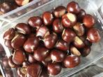 Kastanjes/Chataignes/Chestnuts, Ophalen