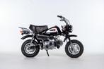 1995 Honda Monkey Deep Purple, Fietsen en Brommers, Ophalen, Overige modellen, 49 cc, 4 versnellingen