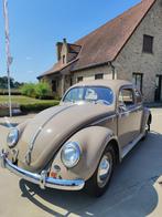 Vw kever ovaal 1956 in uitmuntende zeldzame staat, Auto's, 4 zetels, 4 cilinders, Beige, Bedrijf