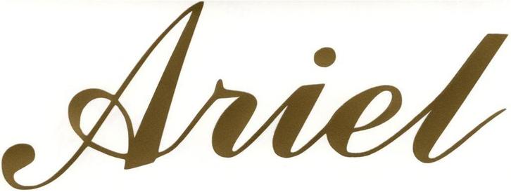 Ariel sticker #2, Motoren, Accessoires | Stickers, Verzenden