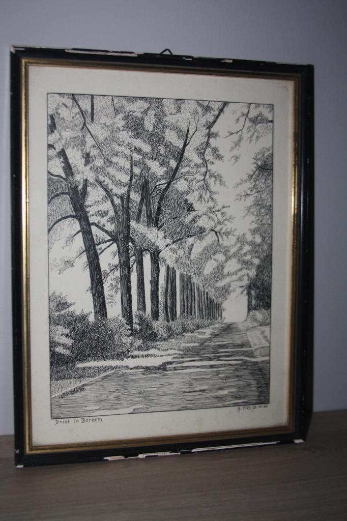 Originele pen tekening Dreef in Bornem A.Pas 28-10-66 +kader, Antiek en Kunst, Kunst | Tekeningen en Fotografie, Ophalen of Verzenden