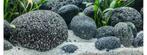 Pebbles lavasteen voor aquarium, Dieren en Toebehoren, Vissen | Aquariumvissen