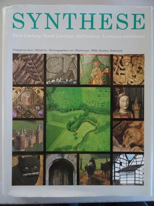 Synthese Zuid-Limburg South Limburg Süd Limbourg Méridional, Boeken, Geschiedenis | Stad en Regio, Zo goed als nieuw, 20e eeuw of later
