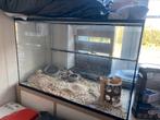 Gerbilarium te koop, Dieren en Toebehoren, Knaagdieren en Konijnen | Hokken en Kooien, Gebruikt, Overige typen, Hamster, 75 tot 110 cm