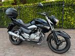 Suzuki Inazuma    gw 250, 250 cc, 2 cilinders, Bedrijf, Minimaal motorrijbewijs A2