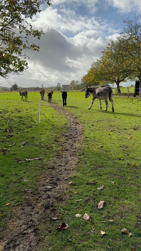 Ik ben op zoek naar een boerderij., Immo, Huizen te huur, Provincie Vlaams-Brabant, Overige soorten, Direct bij eigenaar