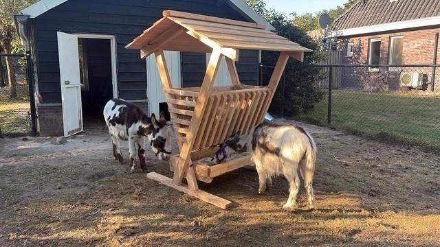 hooiruif mini voor geitjes minischaapjes minipony ed, Dieren en Toebehoren, Stalling en Weidegang