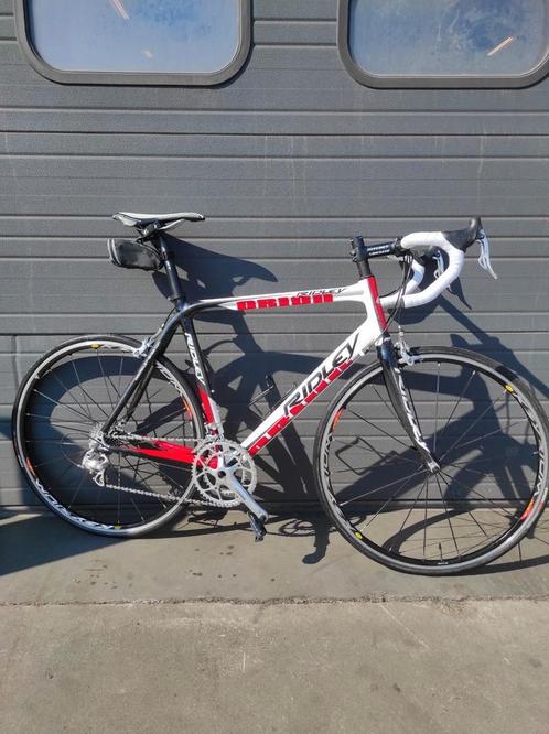 Ridey Orion Carbone maat 56 campagnolo, Fietsen en Brommers, Fietsen | Racefietsen, Zo goed als nieuw, Giant, Ophalen of Verzenden