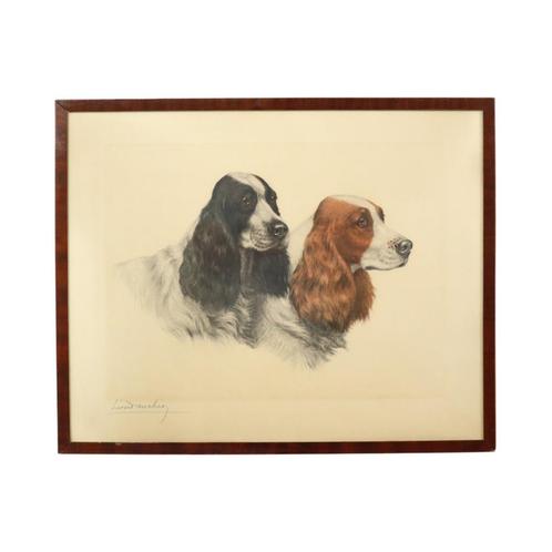 Grote Kleuren Litho Leon Danchin Jachthond Spaniël 68x55cm, Antiek en Kunst, Kunst | Litho's en Zeefdrukken, Ophalen of Verzenden