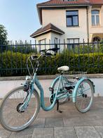 Elektrische driewieler Tri - Bike Papillon in nieuwstaat, Ophalen of Verzenden, Zo goed als nieuw, Elektrische rolstoel