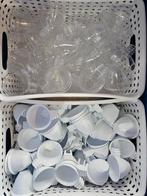 Coquetier blanc, Enlèvement