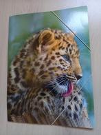 Pochette A4 Tiger Leopard, Divers, Fournitures scolaires, Enlèvement ou Envoi