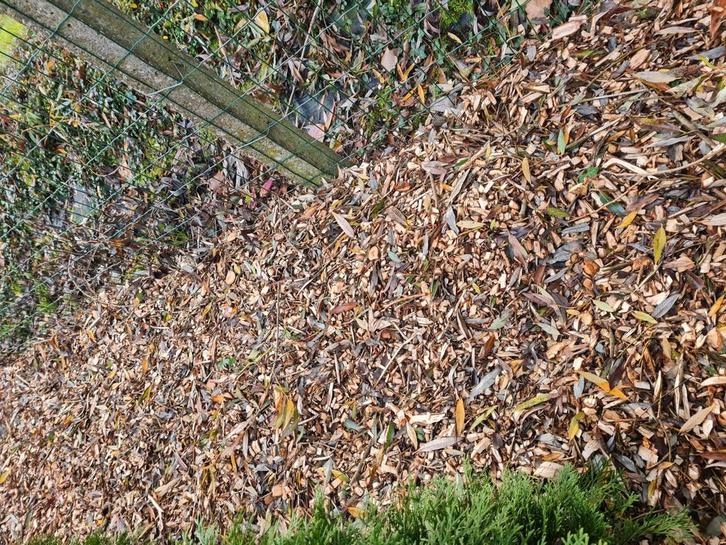 GEZOCHT HAKSELHOUT HOUTSNIPPERS HAKSELING, Tuin en Terras, Overige Tuin en Terras, Ophalen