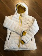 Skijas dames wedze maat XL, Ophalen, Zo goed als nieuw, Maat 46/48 (XL) of groter