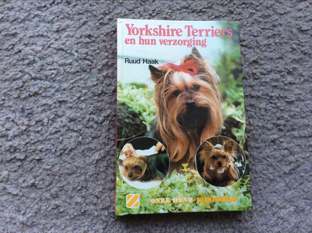 Yorkshire terriërs en hun verzorging - Ruud Haak, Ophalen of Verzenden