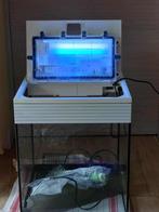 aquarium askoll en toebehoren, Dieren en Toebehoren, Ophalen, Gebruikt, Overige typen