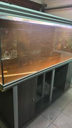 Aquatlantis 2 meter, Dieren en Toebehoren, Vissen | Aquaria en Toebehoren, Ophalen of Verzenden, Gebruikt