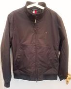 Veste tommy hilfiger,  taille L., Enlèvement, Neuf