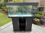Aquarium Juwel 180l (+toebehoren), Dieren en Toebehoren, Vissen | Aquaria en Toebehoren, Ophalen, Zo goed als nieuw, Leeg aquarium