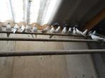 Bonte Diamantduifjes, Dieren en Toebehoren, Vogels | Duiven