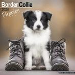 Border Collie Puppykalender 2025, Ophalen of Verzenden, Jaarkalender, Nieuw