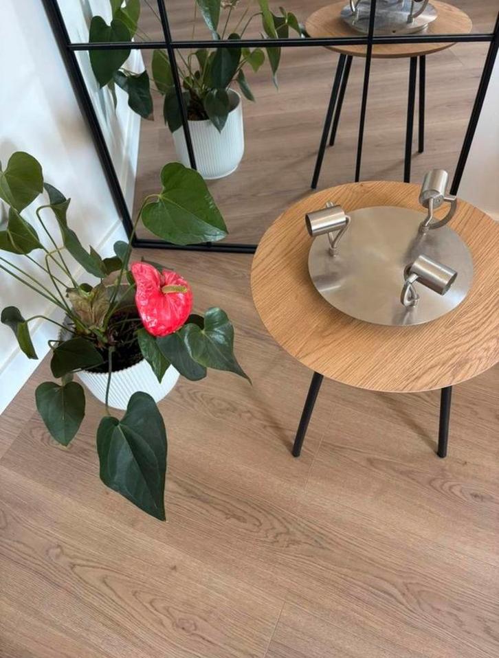 Plafondlamp Philips inox, Huis en Inrichting, Lampen | Plafondlampen, Gebruikt, Ophalen of Verzenden